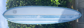 9brain surfboards
