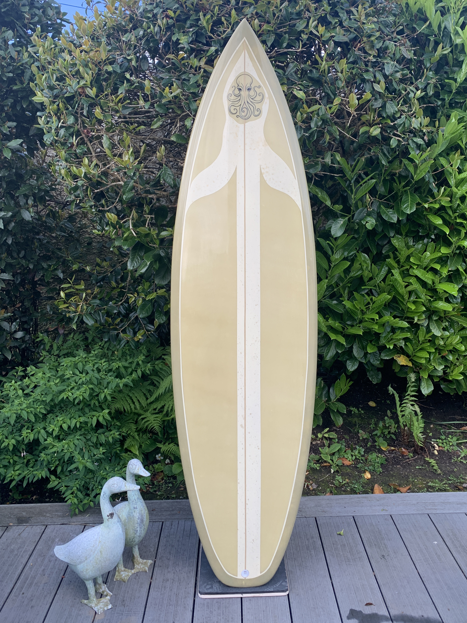 9brain surfboards Lostwithiel Cornwall