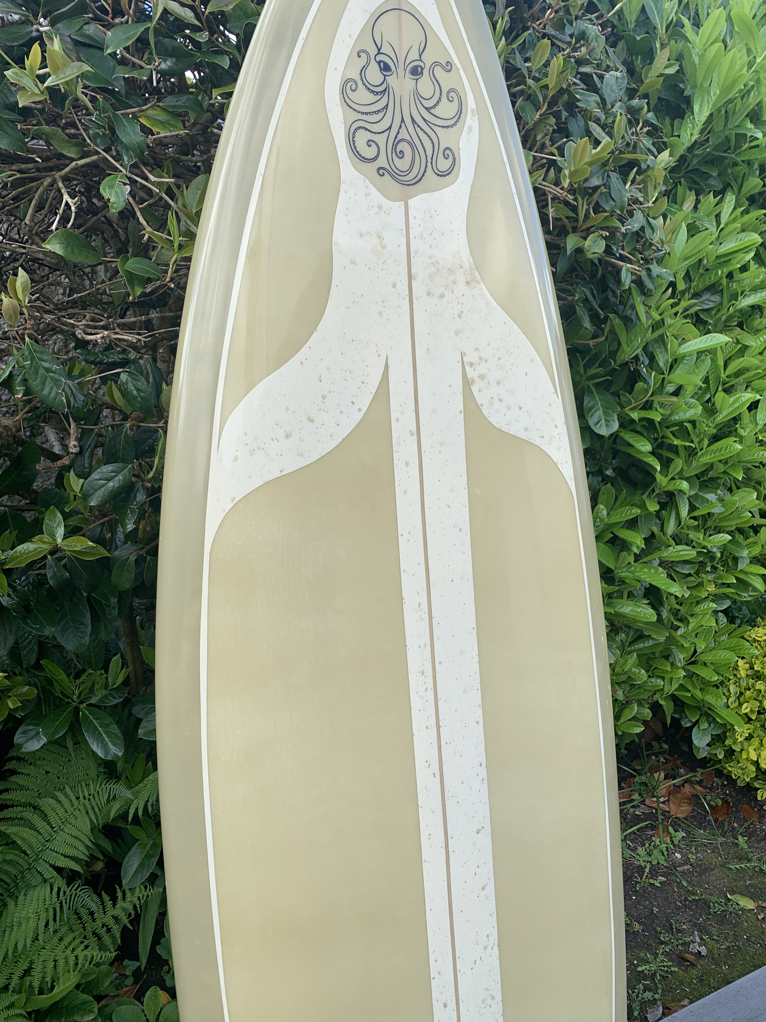 9brain surfboards Lostwithiel Cornwall