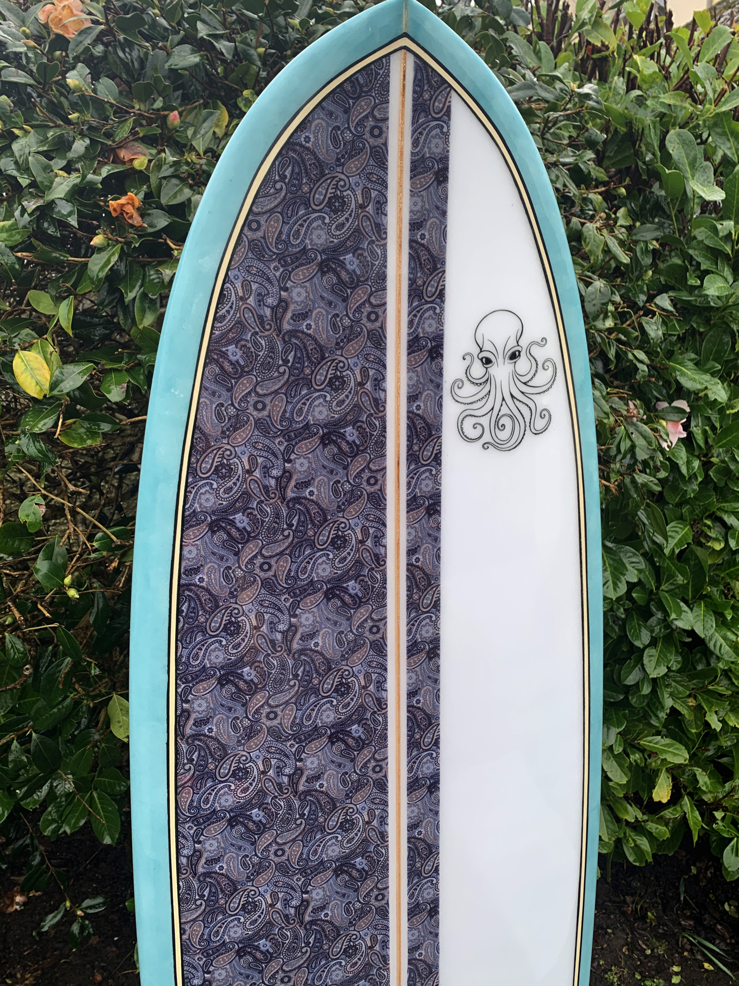 9brain surfboards Lostwithiel Cornwall