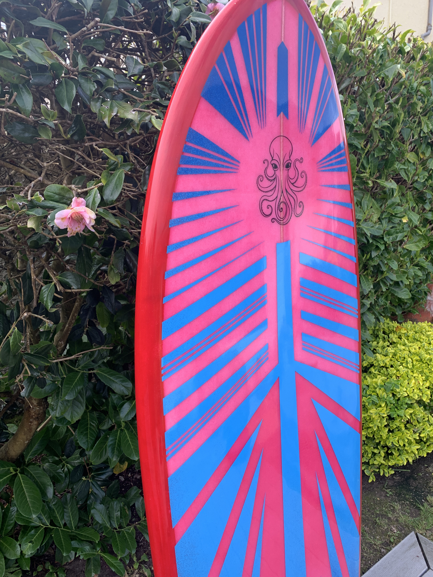 9brain surfboards Lostwithiel Cornwall