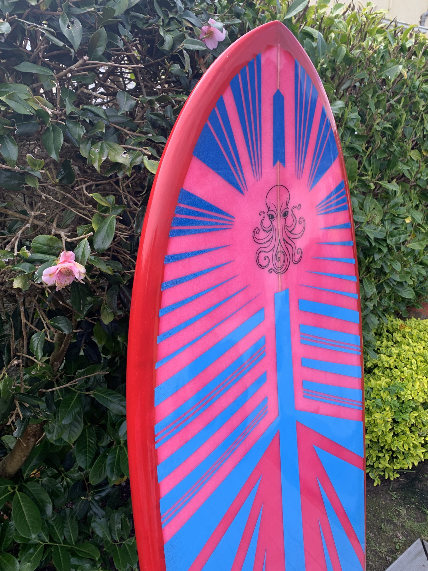 9brain surfboards Lostwithiel Cornwall